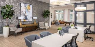 Prose Lakeside Gallery 11