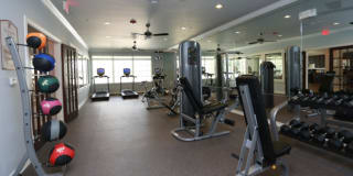 The Residence at Edinburg Gallery 9