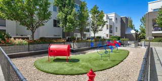 Almaden Lake Village Gallery 32