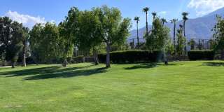 North Palm Springs Beauty move in special $200.00 of first month North Palm Springs Beauty move in special $200.00 of first month Gallery 1