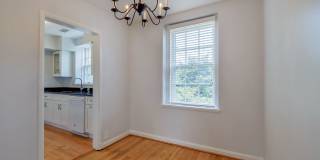 Sunny & Renovated 2BR 1BA in NW DC McLean Gardens Oasis! Gallery 12