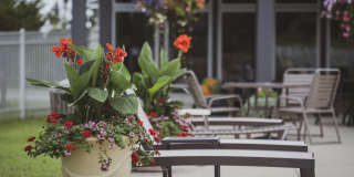 Catalina Club Gallery 5
