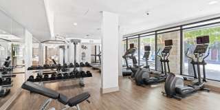 The Residences at the Domain Gallery 26