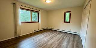Dog friendly, 3 bedroom home in the hills Gallery 13