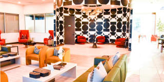 Viva Summerland Gallery 28