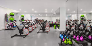 The Duchess Gallery 21