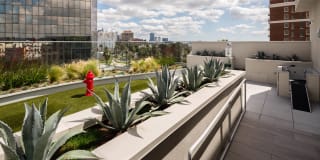 Next on Sixth Gallery 46