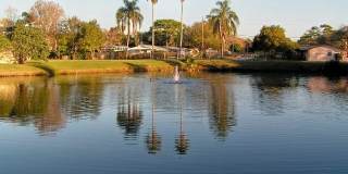 Imperial Palms Gallery 39