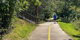 2441 Campus Shore Drive unit: 309 Gallery 34