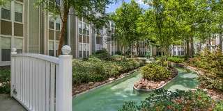 Palmetto Creek Gallery 26