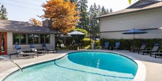 Alder Bellevue Gallery 19