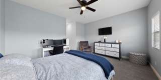 7544 Nicklin Street Gallery 16