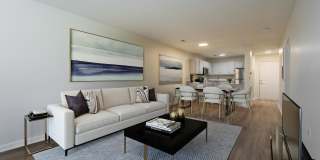 Trellis Pointe Gallery 1