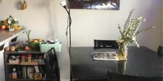 Spacious 3 & 4 Bedroom Apartments Near WWU + Downtown Gallery 19