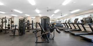 Renaissance Bay Gallery 40