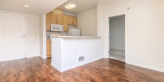 The Village at Town Center Gallery 145