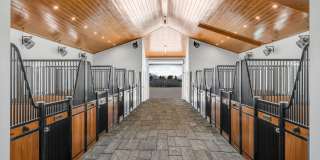 5181 Lasso Way Gallery 11