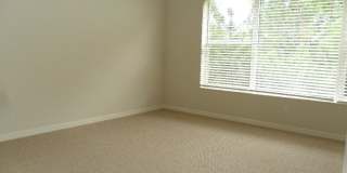 11116 Windsor Place Cir Gallery 12