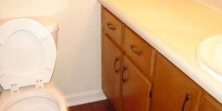 Great Townhome in The Cove! Gallery 7