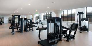 The Darien Gallery 20