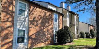 The Willows Gallery 5