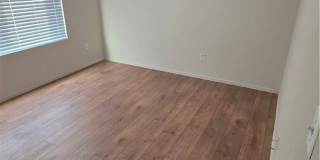 14279 Wildcat Gallery 17