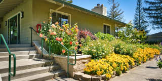 Riverwood Gallery 12