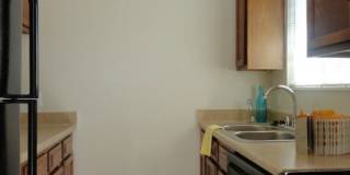 Park Terrace Gallery 14