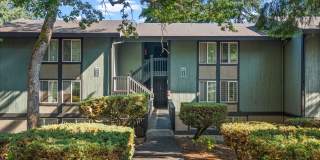 Timbre Apartments Gallery 50