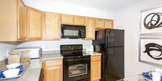 The Cloisters Gallery 50