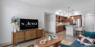 Solena Miramar Gallery 5