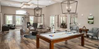 Shadetree Gallery 31