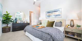 Overture Chapel Hill 55+ Active Adult Apartment Homes Gallery 6
