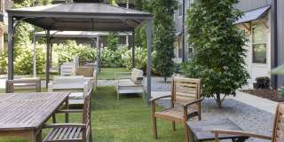 Thrive Argenta Gallery 45