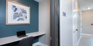 Canopy Park Gallery 8