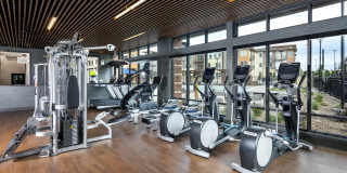 Alas Over Lowry Gallery 28