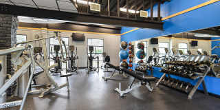 Vairo Village Gallery 25