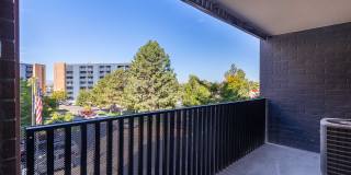 Alvista Nine Mile Gallery 19