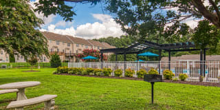LakeRidge Square Gallery 49