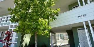 10340-84 Bellwood Ave. Gallery 14