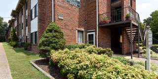 Noah's Landing Gallery 25