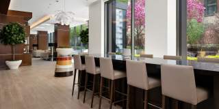 State & Chestnut Gallery 28