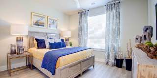 Sendero Trace Gallery 19