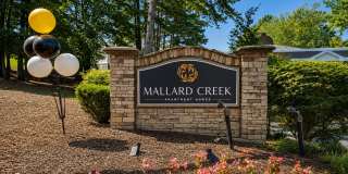 Mallard Creek Gallery 35