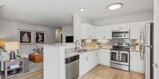 Sofi at Salem Station Gallery 2