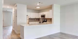 Sofi at Salem Station Gallery 32