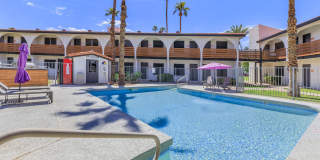 Aster on University Gallery 8