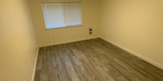 2016 Porta Court Northwest Gallery 11