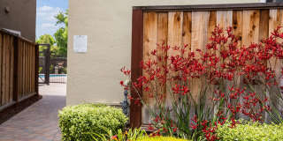 Coronado Apartments Gallery 10