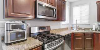 21518 Andrews Garden Gallery 8
